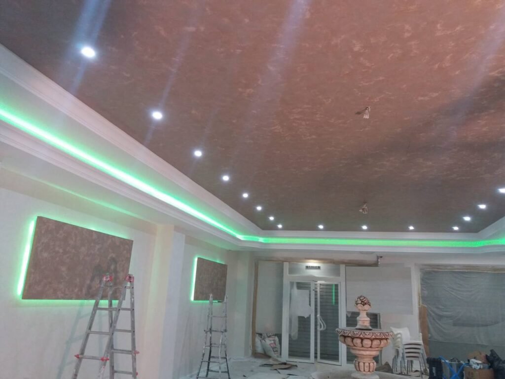 Proyecto de Pintura en Paredes